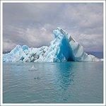 Snowdonia - Vinile LP di Surfer Blood