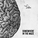 Somewhere In The Maze