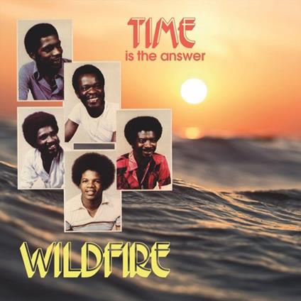 Time Is The Answer - Vinile LP di Wildfire