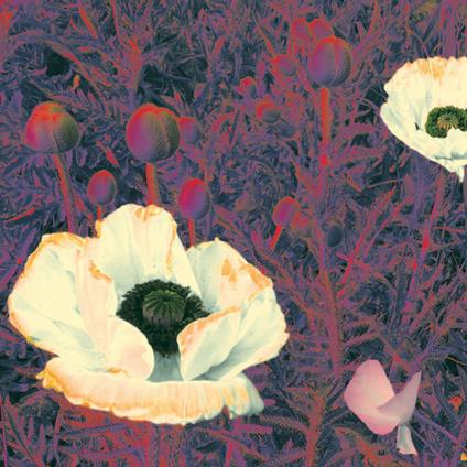 Sunlight Might Weigh Even More - CD Audio di Green Pajamas