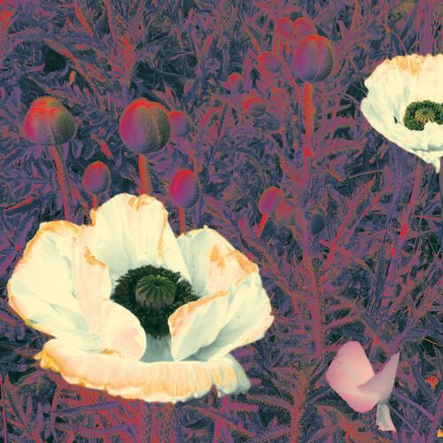 Sunlight Might Weigh Even More - CD Audio di Green Pajamas