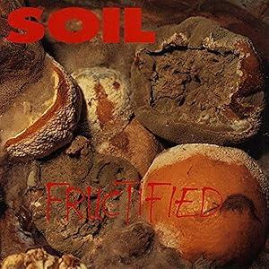Fructified - CD Audio di Soil