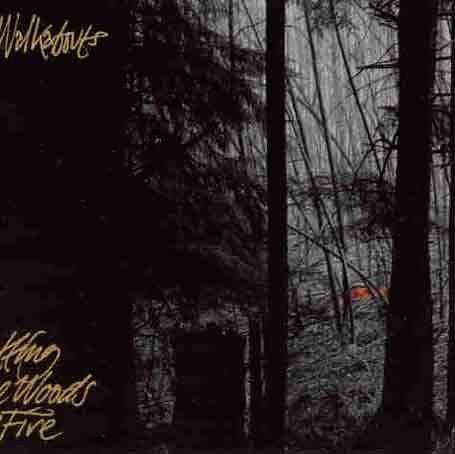 Setting the Woods on Fire - CD Audio di Walkabouts