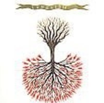 Love Is Love - CD Audio di Lungfish