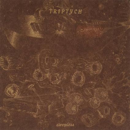 Sleepless - CD Audio di Triptych