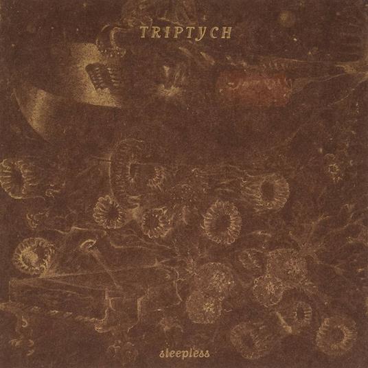 Sleepless - CD Audio di Triptych