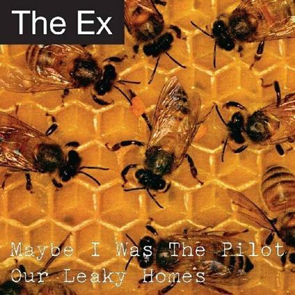 Maybe I Was The Pilot/Our Leaky Homes - Vinile 7'' di Ex