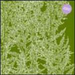 Alcachofa