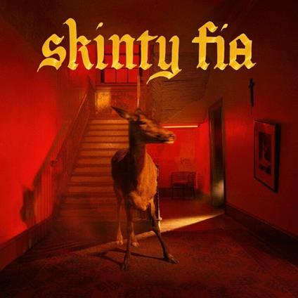 Skinty Fia - Vinile LP di Fontaines DC