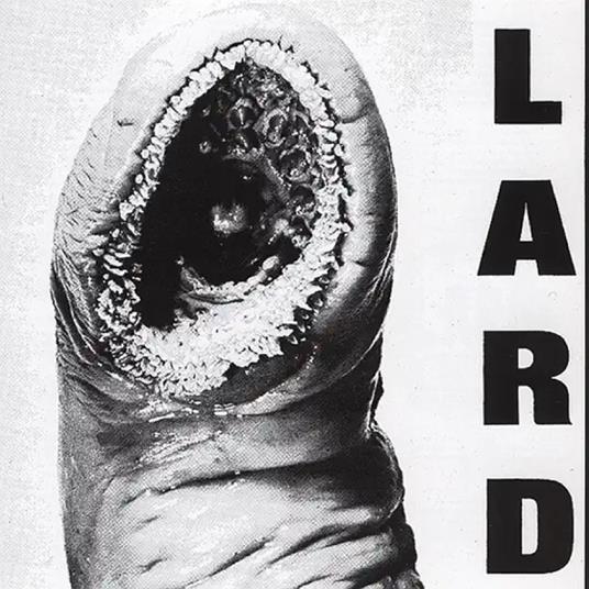 Power of Lard - CD Audio di Lard