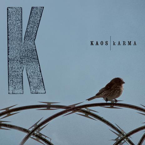 Karma - Vinile LP di Kaos
