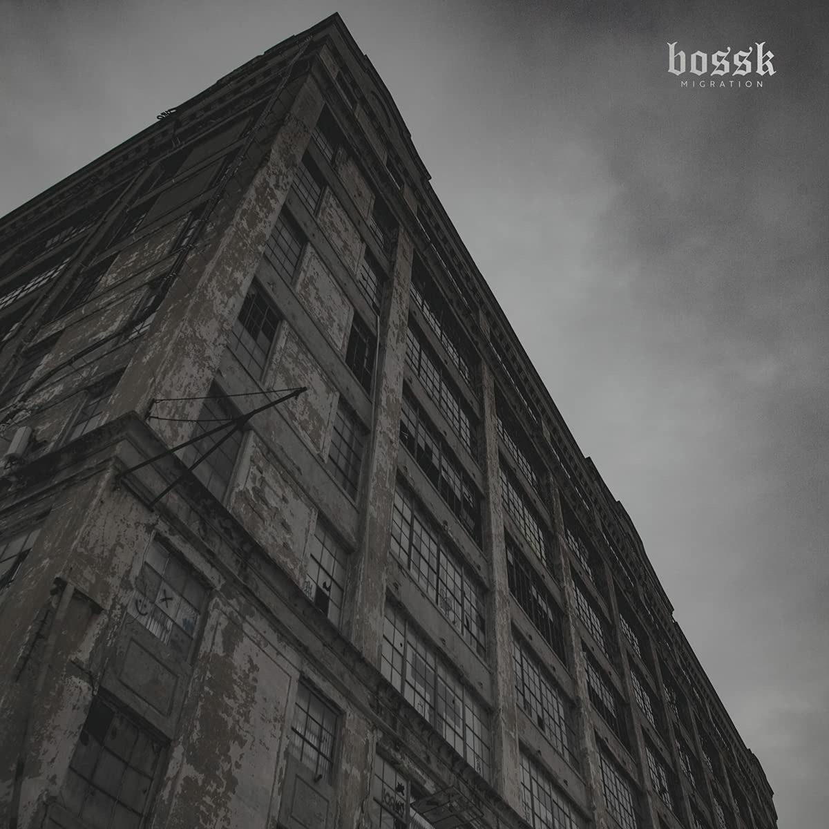 ibs