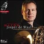 Joseph & Michael Haydn - SuperAudio CD ibrido di Franz Joseph Haydn,Johann Michael Haydn,Jasper de Waal