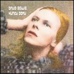 Hunky Dory