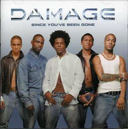 Since You've Been Gone - CD Audio di Damage