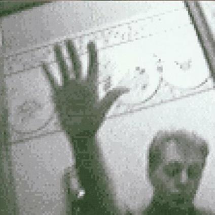 Driving Rain - CD Audio di Paul McCartney