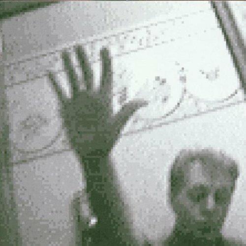 Driving Rain - CD Audio di Paul McCartney