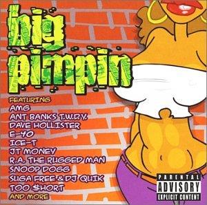 Big Pimpin - CD Audio
