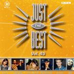 Just The Best Vol.45