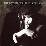 This Is the Sea - CD Audio di Waterboys