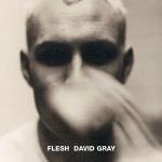 Flesh - CD Audio di David Gray