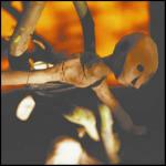 Redemption's Son - CD Audio di Joseph Arthur