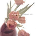 The Amateur View - CD Audio di To Rococo Rot