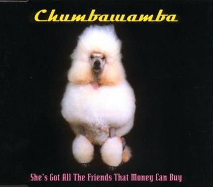 She's Got All The Friends That Money Can - CD Audio Singolo di Chumbawamba