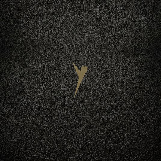 Y (Definitive Edition) - Vinile LP di Pop Group