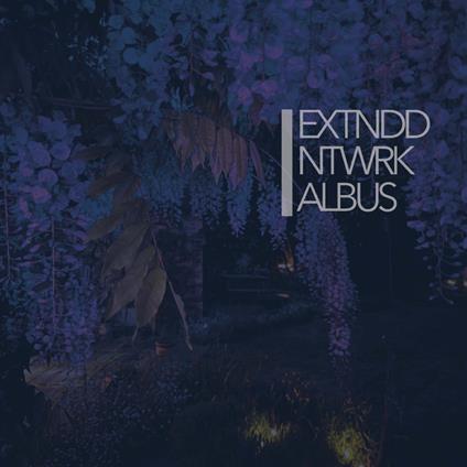 Albus - Vinile LP di Extnddntwrk