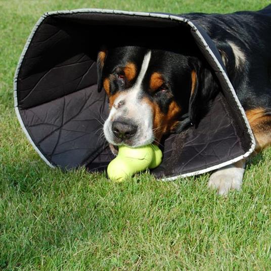 All Four Paws Collare Medico per Cani Comfy Cone Taglia S 14 cm Nero - 2