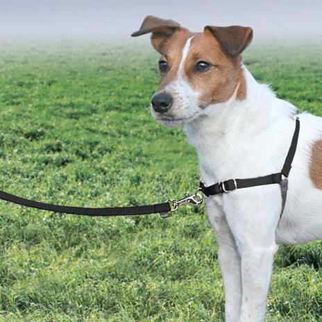 PetSafe Pettorina per Cani Easy Walk Misura S Nera - 3