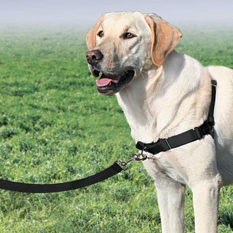 PetSafe Pettorina per Cani Easy Walk Misura L Nera - 3