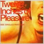 Twelve Inches of Pleasure