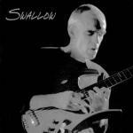 Steve Swallow