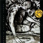 Songs From the Mirror