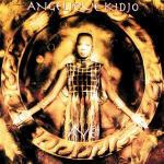 Aye - CD Audio di Angelique Kidjo