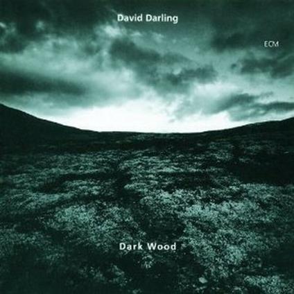 Dark Wood - CD Audio di David Darling