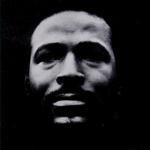 Vulnerable Sessions - CD Audio di Marvin Gaye