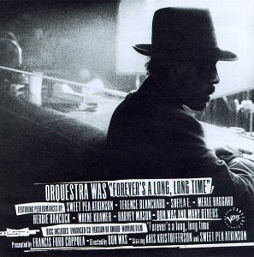 DISCOVER MUSIC STORE