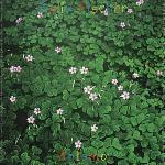 Antonio - CD Audio di Delia Fischer