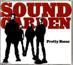 Pretty Noose