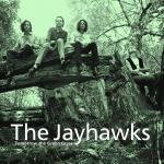 Tomorrow the Green Grass - CD Audio di Jayhawks