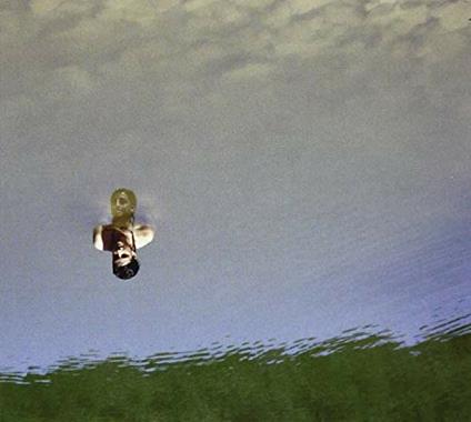 Oh My - CD Audio di Nadine