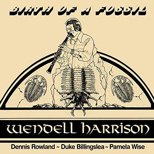Birth Of A Fossil - Vinile LP di Wendell Harrison