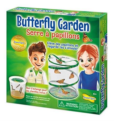 Insect Lore 8010FR Elevata Farfalle, Colore: Verde