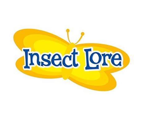 Insect Lore 8010FR Elevata Farfalle, Colore: Verde - 3