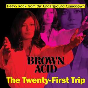 CD Brown Acid. The Twenty-First Trip 