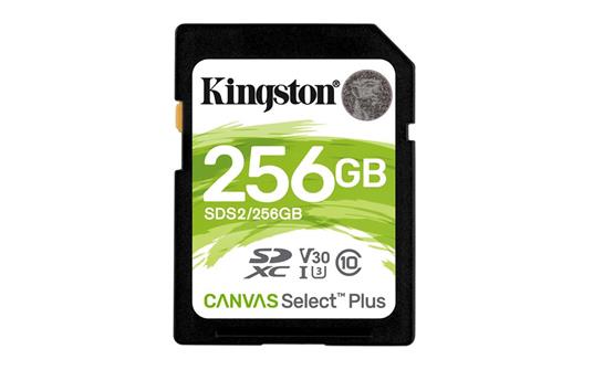 Kingston Technology Canvas Select Plus memoria flash 256 GB SDXC Classe 10 UHS-I