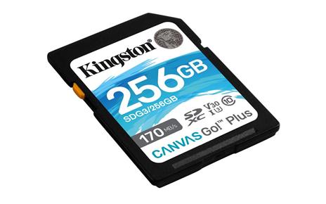 Kingston Technology Canvas Go! Plus memoria flash 256 GB SD Classe 10 UHS-I - 2